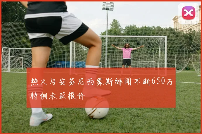热火与安芬尼西蒙斯绯闻不断650万特例未获报价